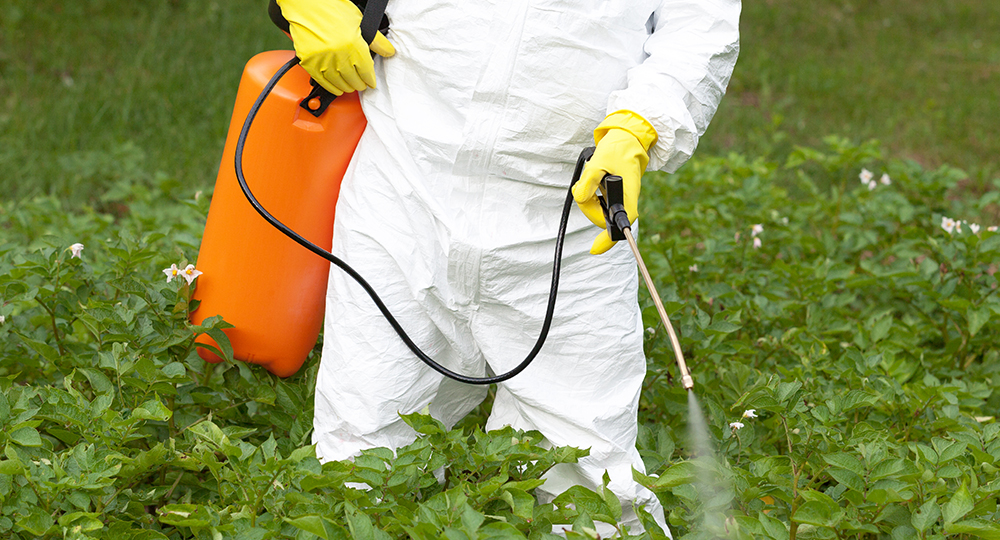 person-in-protective-suit-spraying-weeds