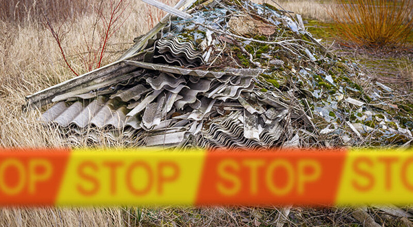 A pile of discarded asbestos roofing dumped in the bush.