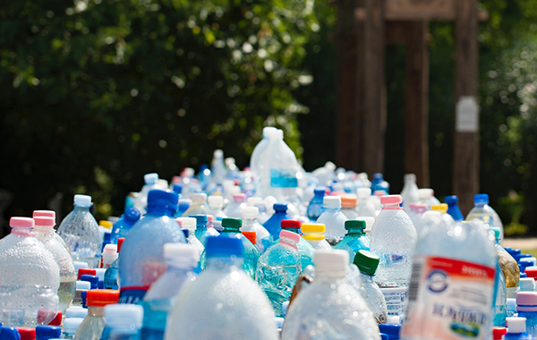 Hundreds of plastic bottles lined up ready to be recycled.
