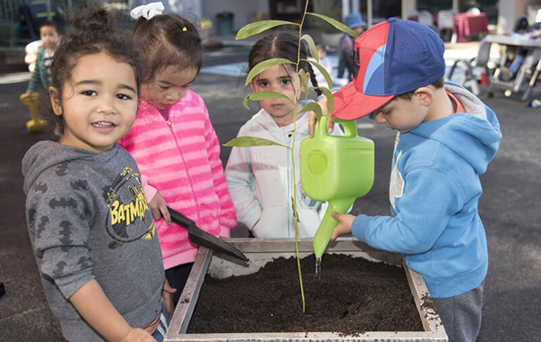 A group of pre-school children water a potted plant at a childcare centre in the Fairfield, Sydney, local government area.